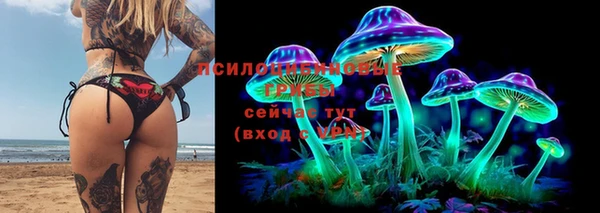 альфа пвп Беломорск