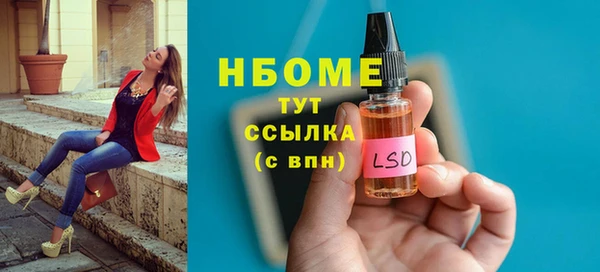 гашик Снежногорск