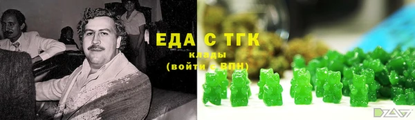 дживик Богородицк