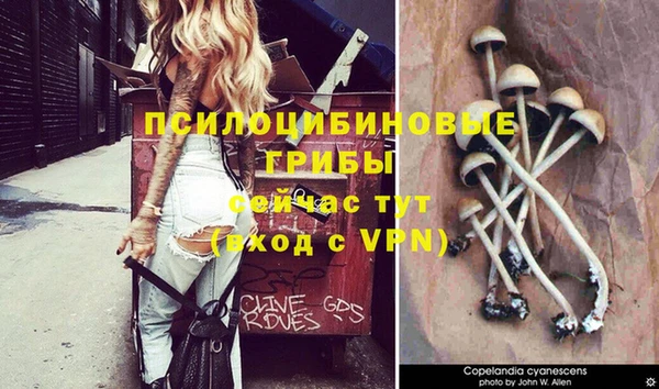 амф Белоозёрский
